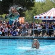 Walnut Creek Aquanuts Synchronized Swimming Gold Medalists