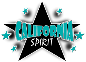 California Spirit Elite Summer Cheer Camps*