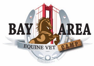 Bay Area Equine Veterinary Medicine Camp*
