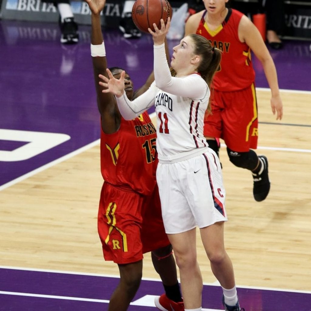 Haley Van Dyke basketball