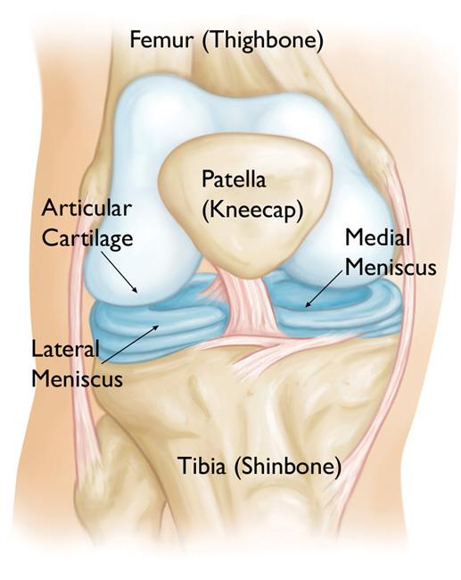 Level Up When The Meniscus Shock Absorber Hurts Sportstars Magazine