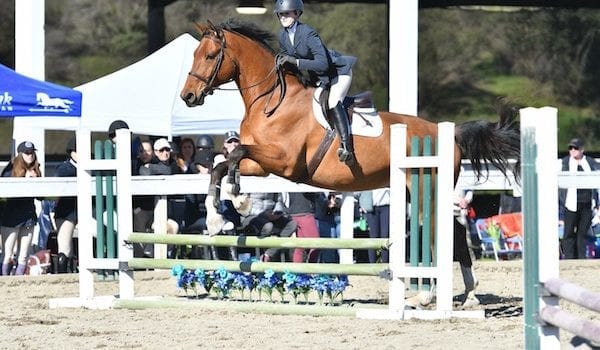 East Bay Equestrian Team Rides High At Nationals