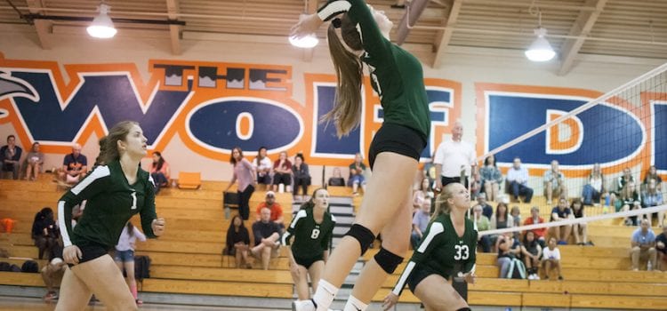 NorCal Volleyball: 50+ High School Players to Watch