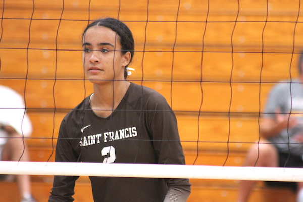 Taylor Williams, Saint Francis, Volleyball