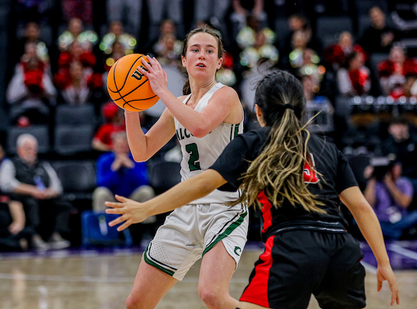 Colfax guard Jade Biittner looks to pass to a teammate during the state final