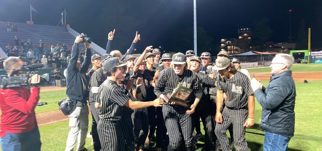 CCS Baseball: Rodriguez Lifts Mitty To Division I Championship