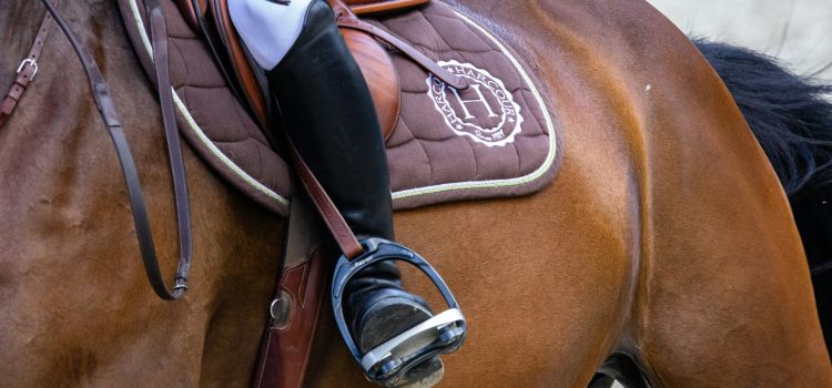 Guide To Showing:What To Expect At An English Riding Show