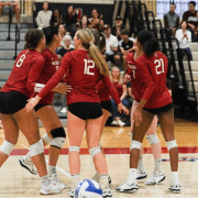 Harvard Women’s Volleyball 2024 Schedule Includes November Playoffs For Tournament Spot