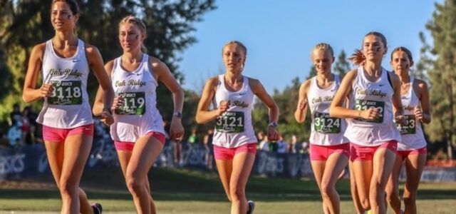 Girls Cross Country Section Rankings