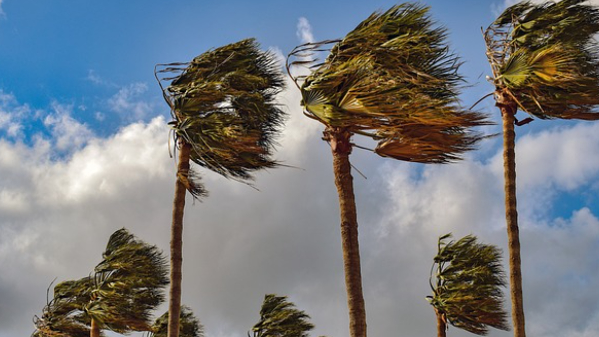 How to Maintain Speed and Form in Windy Conditions - SportStars Magazine