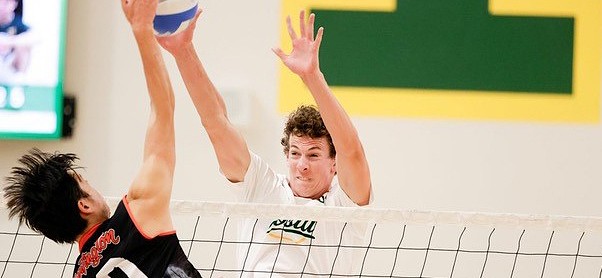 National player of the year Grayson Bradford leads four AVCA boys volleyball All-Americans for top-ranked Mira Costa